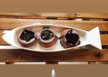 Double chocolate muffins