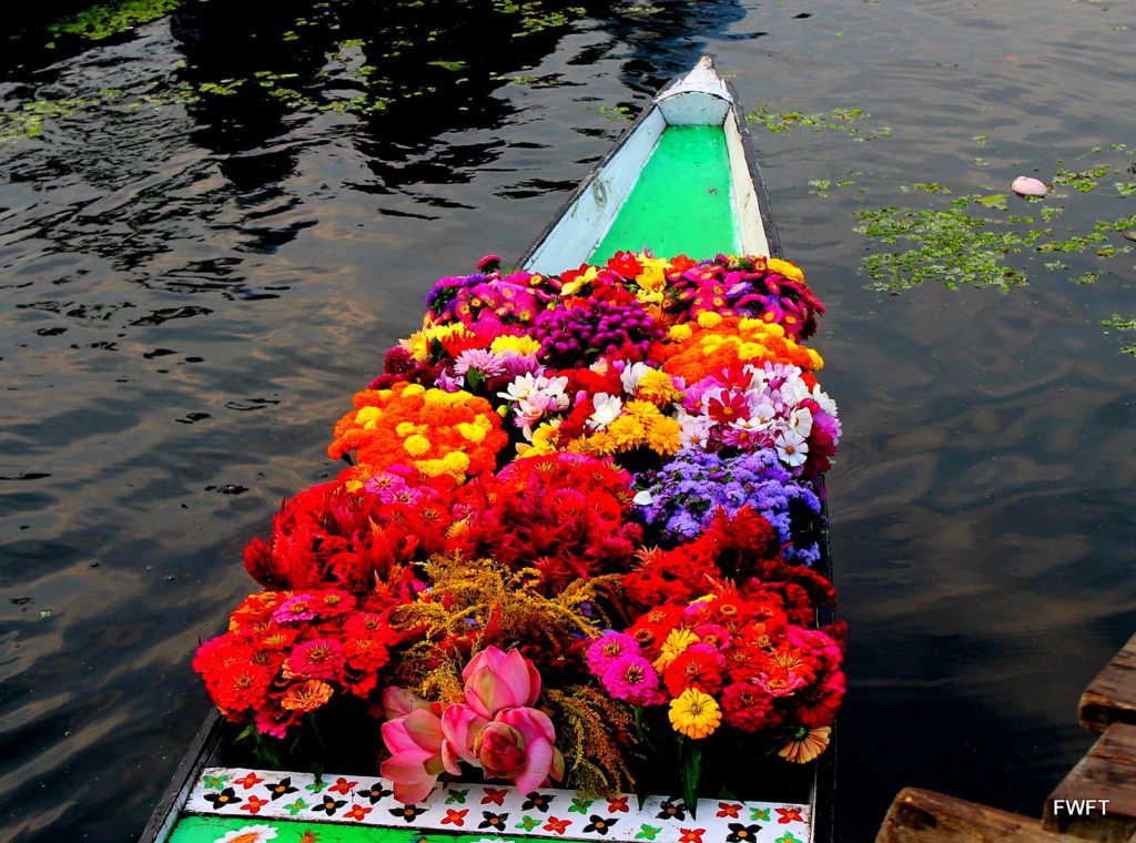 Flower Shikara on the Dal lake