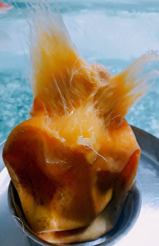 Rasalu for How to eat a mango without making a mess.