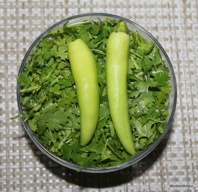 coriander green chilies