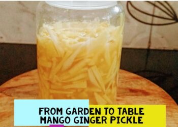 From Garden To table