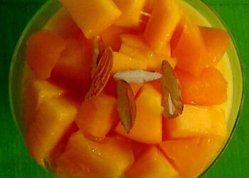 Rich Creamy Custard with Mango Slices