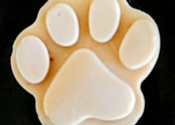 Dog Ice Cream Recipe