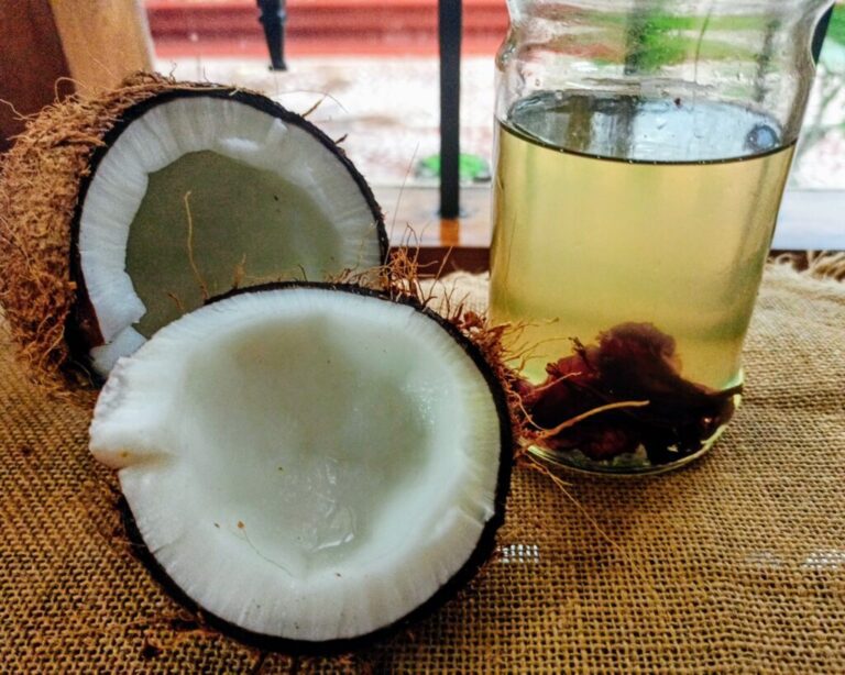 Homemade Hair Oil Recipe for Hair Loss Natural & Organic