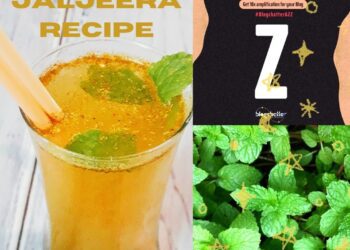 Zesty Jaljeera Recipe