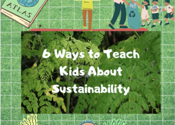 6 Ways to Teach Kids Sustainability
