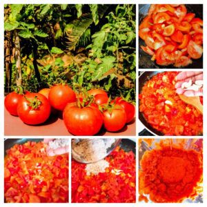 Tomatoes cooked and pulped