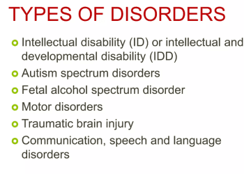 Neurodevelopmental-disorders