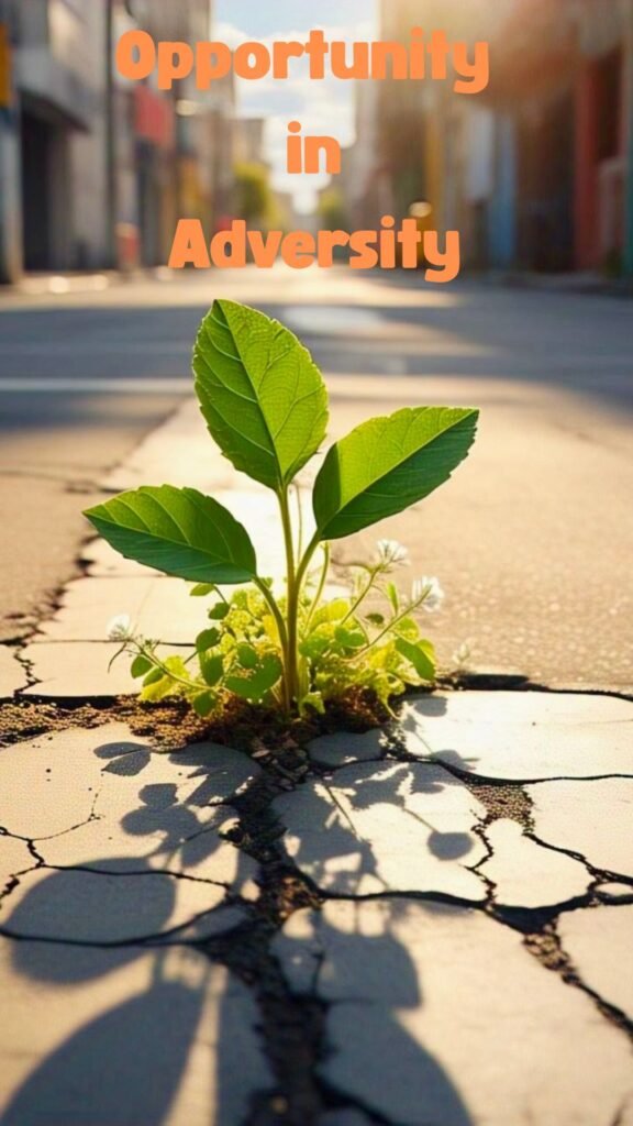 Opportunity in Adversity