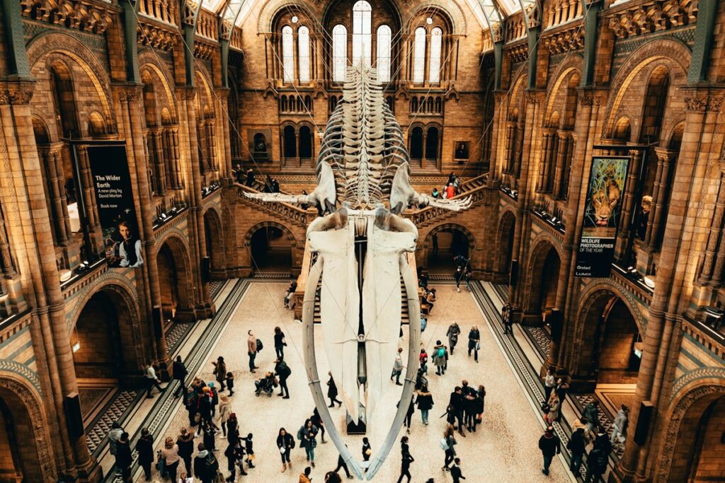 National-History-Museum