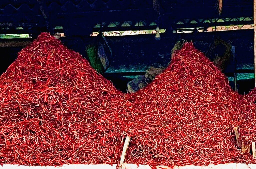 Bird's Eye Chillies
