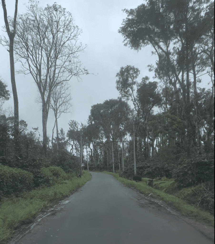 Road trip to Coorg
