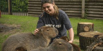 Family Days Out at the Zoo