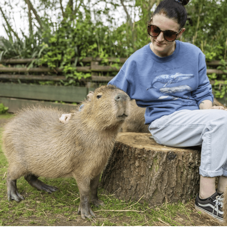 The Kind of Family Days Out That Create Lasting Memories