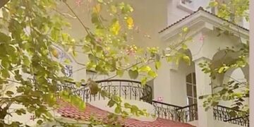 What Home Means To Me Now