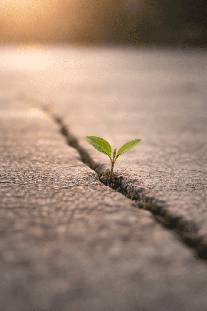 Writing was cathartic and healing